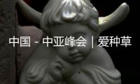 中國－中亞峰會｜愛種草莓的王倩：將先進種植技術引入烏茲別克斯坦