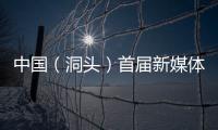中國（洞頭）首屆新媒體短片高峰會議舉行