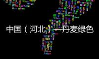 中國（河北）—丹麥綠色發展推介會在邢舉辦