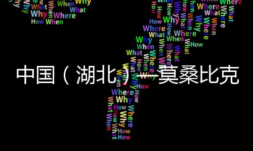 中國（湖北）—莫桑比克貿易投資推介會在漢舉行