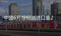 中國6月棕櫚油進口量23萬噸，同比猛增逾215%