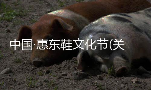 中國·惠東鞋文化節(jié)(關(guān)于中國·惠東鞋文化節(jié)簡(jiǎn)述)