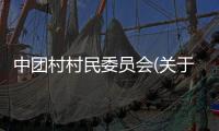 中團村村民委員會(關于中團村村民委員會簡述)