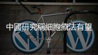 中國研究稱細(xì)胞療法有望治癒男性第二型糖尿病