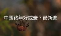 中國豬年好或衰？最新進出口數據透露端倪｜天下雜誌