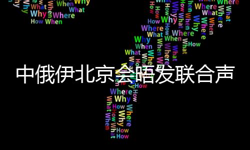 中俄伊北京會(huì)晤發(fā)聯(lián)合聲明有何成果 強(qiáng)調(diào)外交解決途徑
