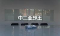 中二亞瑟王