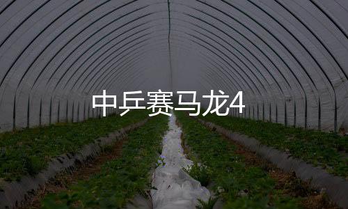 中乒賽馬龍4