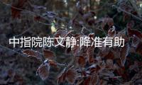 中指院陳文靜:降準(zhǔn)有助于流動性改善