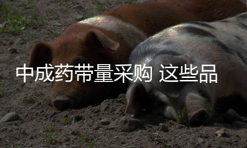 中成藥帶量采購 這些品種或入選