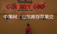 中果網：山東庫存蘋果交易行情分化