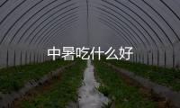 中暑吃什么好