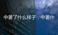 中暑了什么樣子，中暑什么感受
