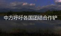 中方呼吁各國團(tuán)結(jié)合作鏟除恐怖主義根源
