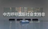 中方呼吁國際社會支持非洲發展