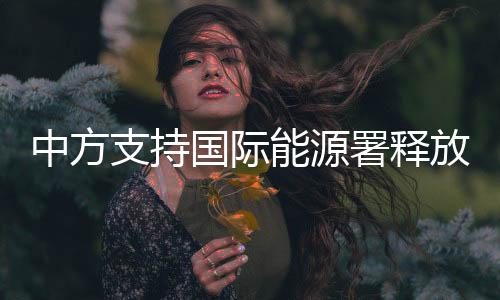 中方支持國際能源署釋放戰略石油儲備
