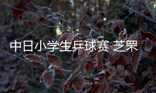 中日小學生乒球賽 芝罘區(qū)體校奪冠