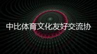 中比體育文化友好交流協會成立 王大勇任主席