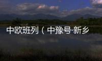 中歐班列（中豫號·新鄉）中亞線路實現往返運營常態化
