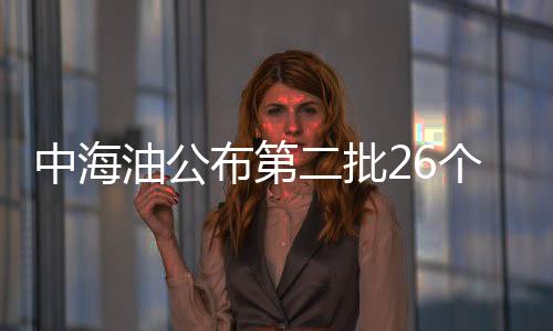 中海油公布第二批26個油氣區塊招標信息