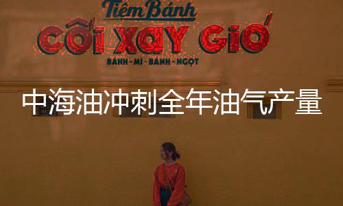 中海油沖刺全年油氣產量目標