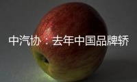 中汽協：去年中國品牌轎車共銷315.1萬輛