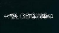 中汽協：全年車市降幅10% 鄉村市場或爆發