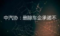 中汽協：刪除車企承諾不打價格戰條款