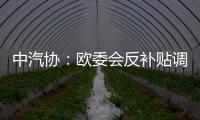 中汽協：歐委會反補貼調查罔顧事實，中企強烈反對貿易扭曲