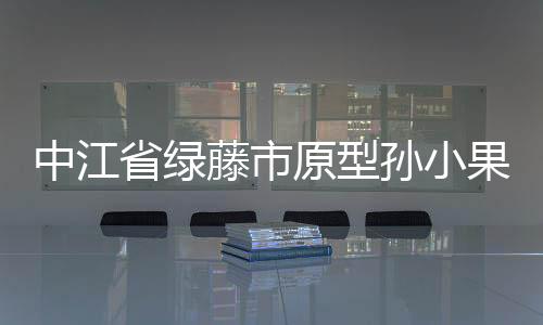 中江省綠藤市原型孫小果（中江省綠藤市原型）