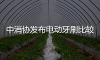 中消協發布電動牙刷比較試驗結果 Oral