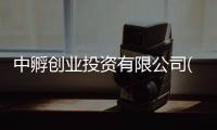 中孵創(chuàng)業(yè)投資有限公司(關(guān)于中孵創(chuàng)業(yè)投資有限公司簡述)