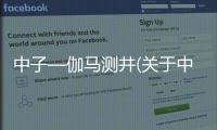 中子—伽馬測井(關(guān)于中子—伽馬測井簡述)