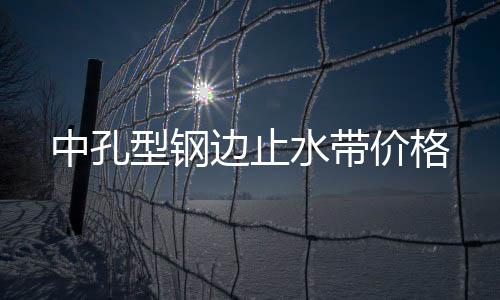 中孔型鋼邊止水帶價格