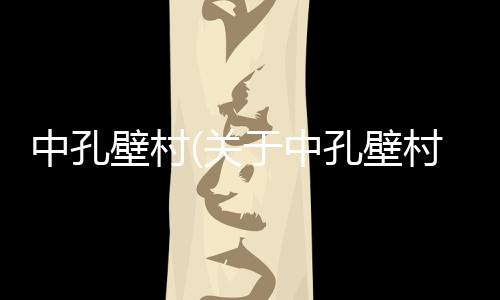 中孔壁村(關(guān)于中孔壁村簡述)