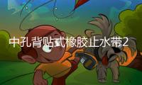 中孔背貼式橡膠止水帶2個(gè)施工要點(diǎn)