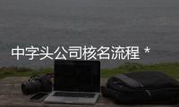 中字頭公司核名流程 *局核名