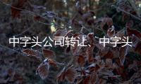 中字頭公司轉(zhuǎn)讓、中字頭投資公司轉(zhuǎn)讓