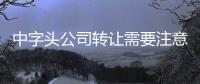 中字頭公司轉(zhuǎn)讓需要注意什么