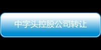 中字頭控股公司轉(zhuǎn)讓