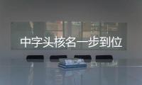 中字頭核名一步到位