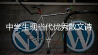 中學生現當代優秀散文詩歌手冊(關于中學生現當代優秀散文詩歌手冊簡述)