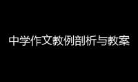 中學(xué)作文教例剖析與教案研制(關(guān)于中學(xué)作文教例剖析與教案研制簡述)