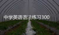 中學英語語法練習3000題(關于中學英語語法練習3000題簡述)