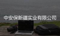 中安保新疆實業(yè)有限公司(關于中安保新疆實業(yè)有限公司簡述)