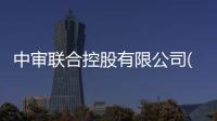 中審聯合控股有限公司(關于中審聯合控股有限公司簡述)