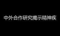 中外合作研究揭示精神疾病發生調控機制