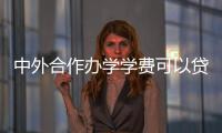 中外合作辦學學費可以貸款嗎（中外合作辦學學費）