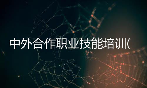 中外合作職業技能培訓(關于中外合作職業技能培訓簡述)