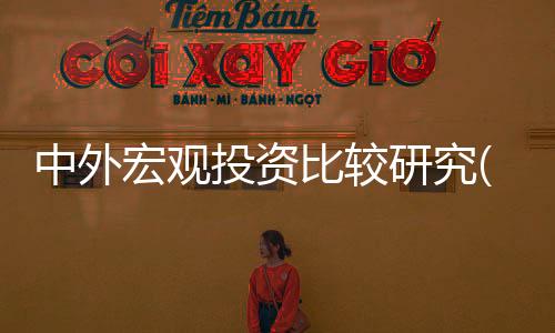 中外宏觀投資比較研究(關于中外宏觀投資比較研究簡述)